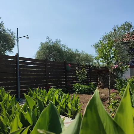 Iatrou شقة فندقية 3*