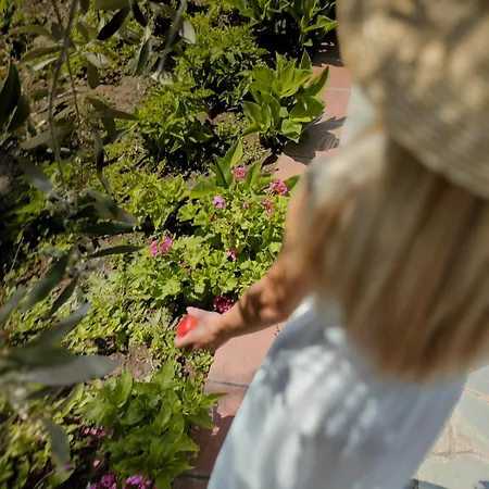 Iatrou 3* بوتوس